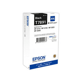 Genuine Epson T9071 Black Ink Cartridge (C13T907140)